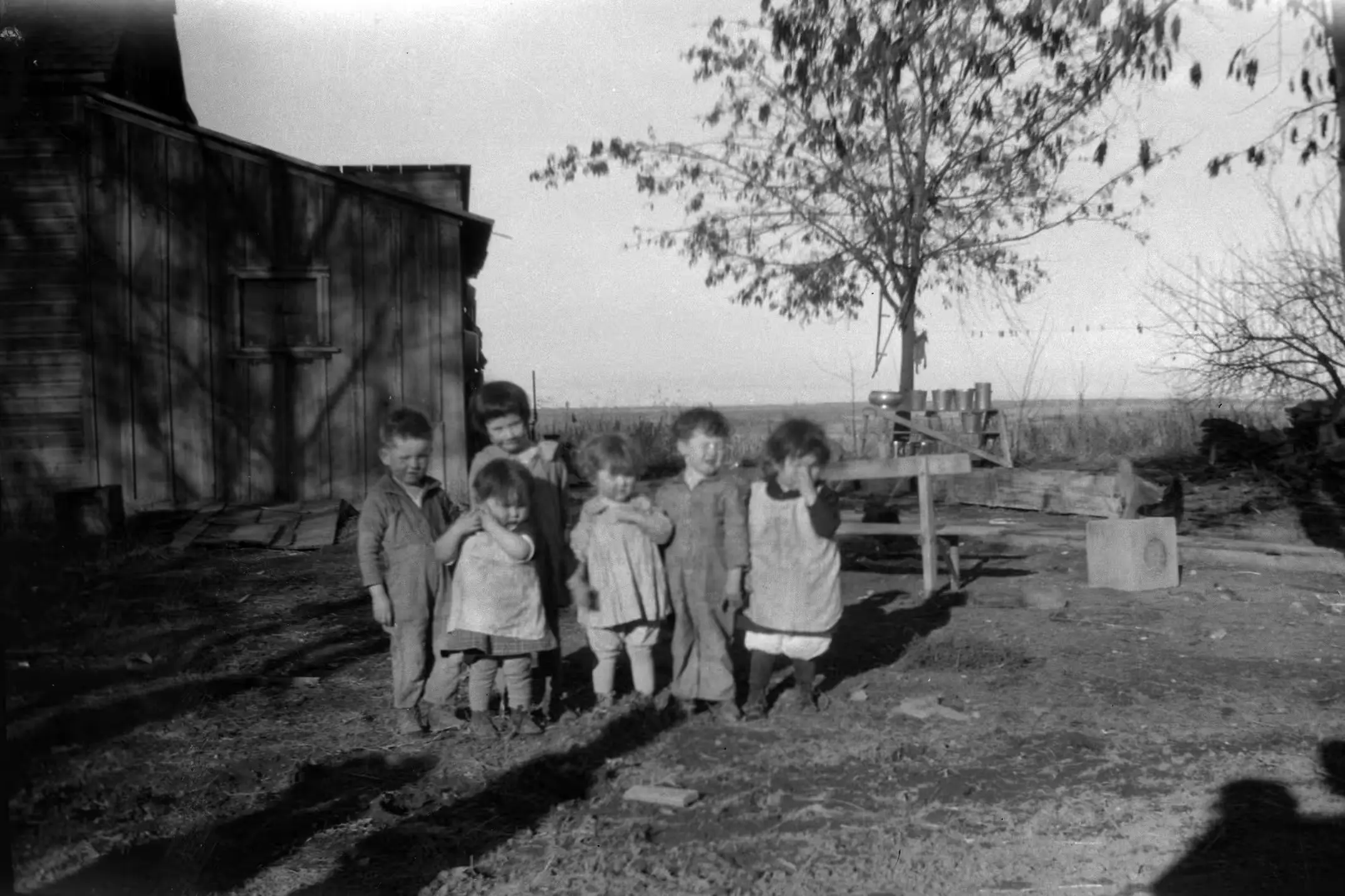 Children and cousins on the farm